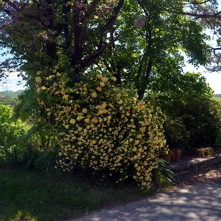 Сasa de vacaciones Hisa V Travniku