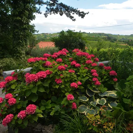 Hisa V Travniku Сasa de vacaciones Smartno