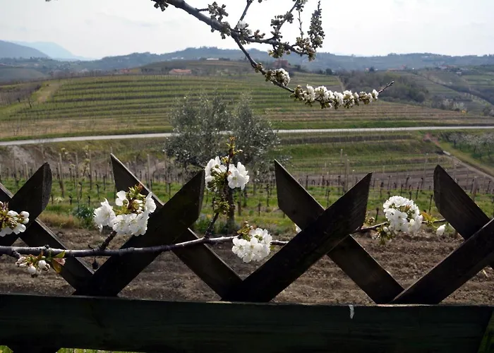 Semesterbostad Hisa V Travniku Smartno