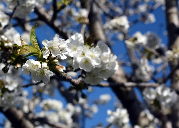 Hisa V Travniku Smartno