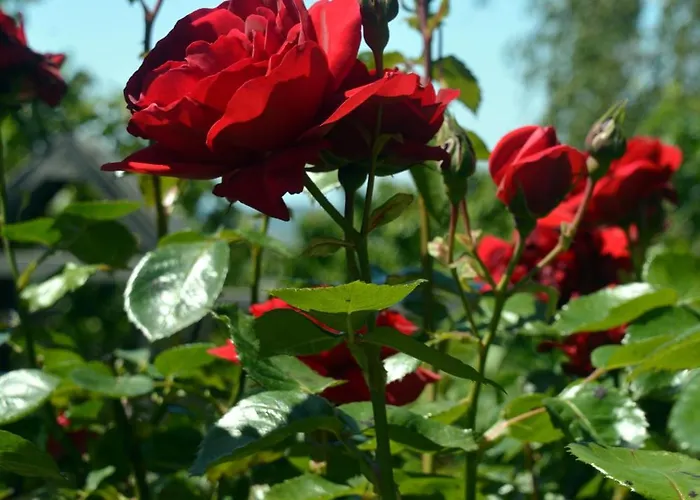 Hisa V Travniku * Smartno