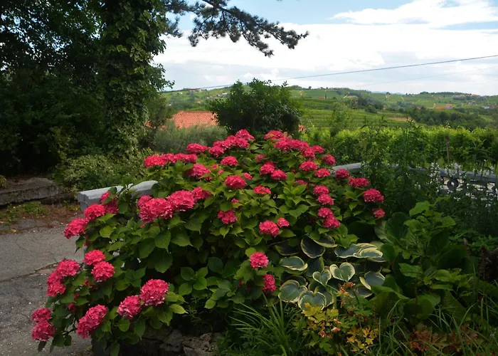 Hisa V Travniku Nyaraló Šmartno